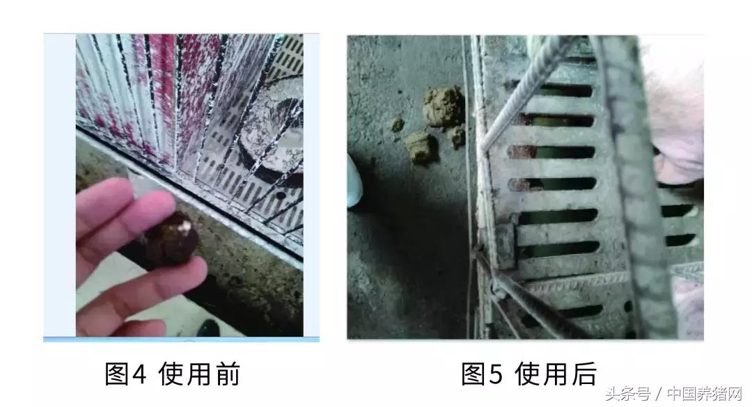 怀孕母猪便秘怎么解决,母猪便秘不吃料怎么办