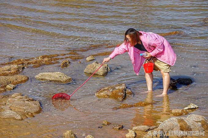 日照直播,日照房价