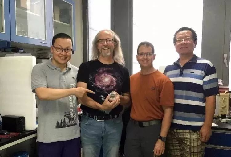 世界上发现蛇类琥珀,人类首次在琥珀中发现鸟类