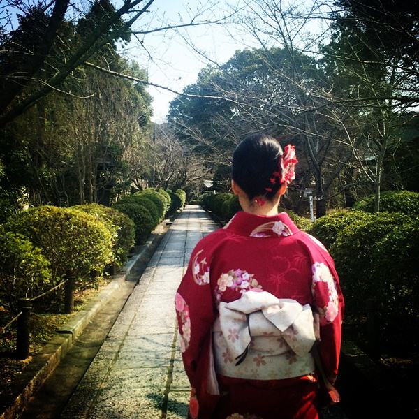 樱花代表浪漫,樱花代表浪漫爱情