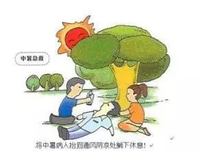 狗中暑的急救治疗方法,中暑了怎么办教你一招就有效