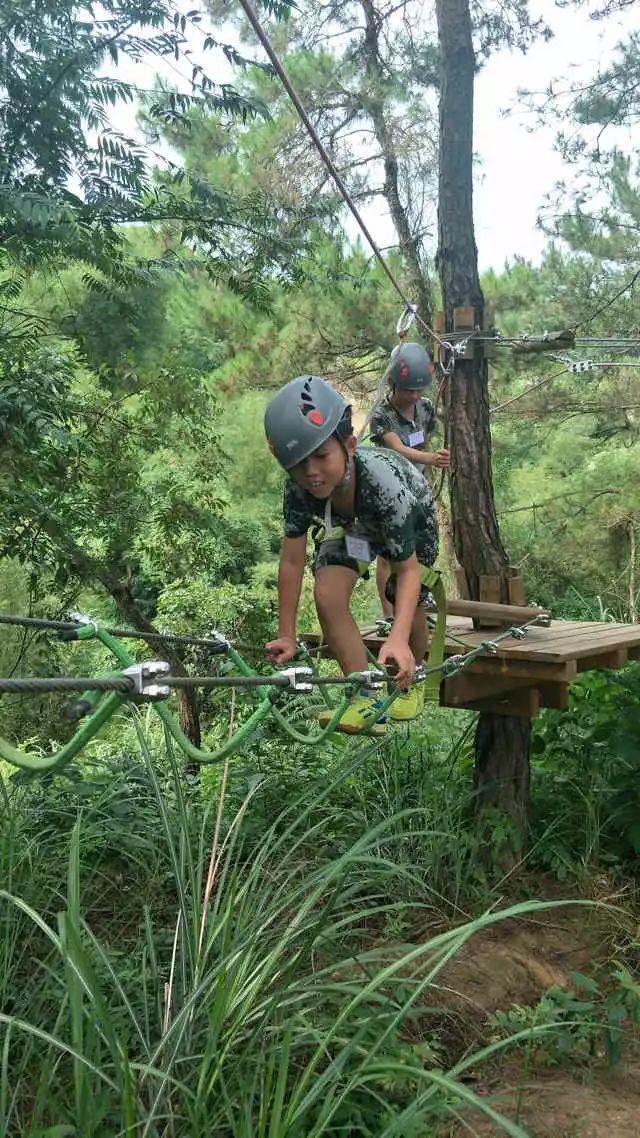 为什么让孩子参加冬令营,为什么一定要让孩子参加冬令营