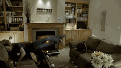 要命还是要赞？这些nozuonodie的自拍吓的小编手机都掉了！