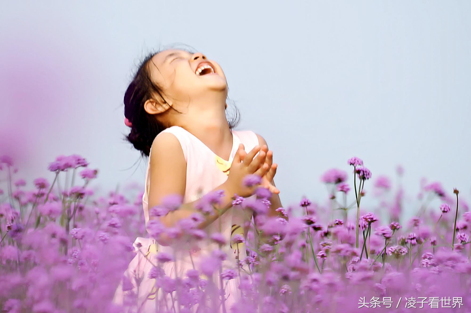 沙滩拾贝壳景区,沙滩花海美景