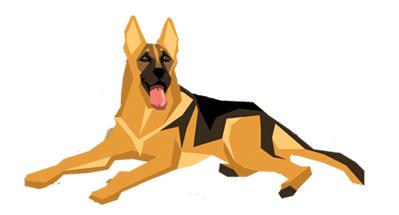 各种夏令营活动集合,夏令营即将开始招生