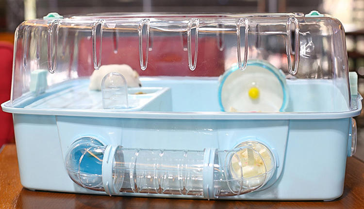 仓鼠如何饲养教程,新手养仓鼠该用什么笼子