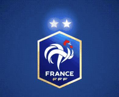 法国队庆祝夺冠,法国队庆祝世界杯夺冠