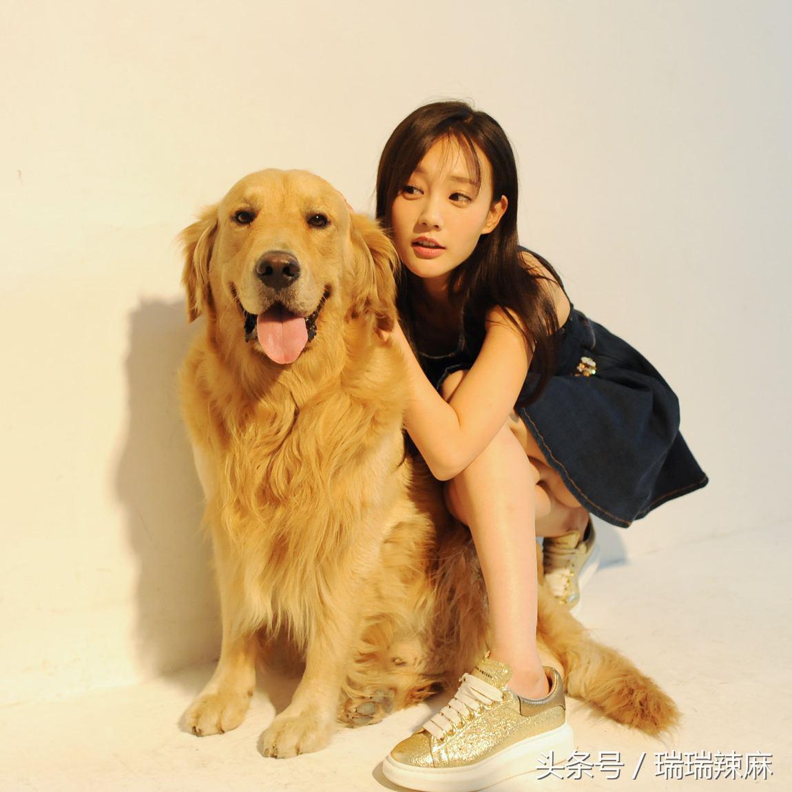 金毛犬皮肤病用妇炎洁药浴可以吗,金毛犬常见皮肤病是什么症状