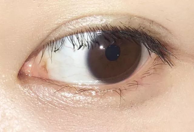 睫毛膏10大品牌推荐,平价卷翘睫毛膏测评