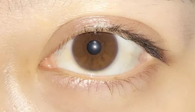 8款热门睫毛膏专业测评，Angelababy最爱的睫毛膏居然垫底了！