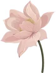 重庆可遮雨户外烧烤的地方,重庆高温消暑的地方