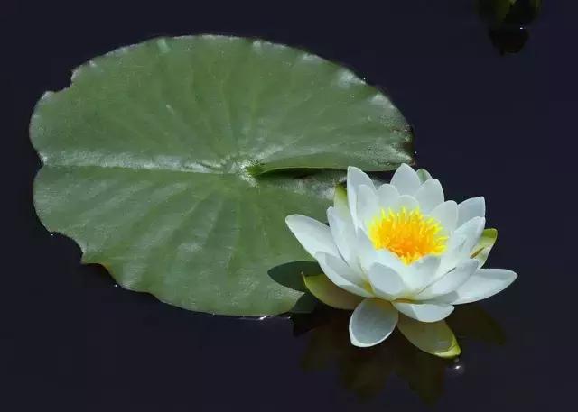 重庆可遮雨户外烧烤的地方,重庆高温消暑的地方
