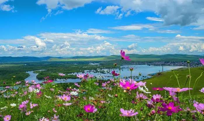 想和你一起去旅行去大草原 (呼伦贝尔大草原天苍苍野茫茫)