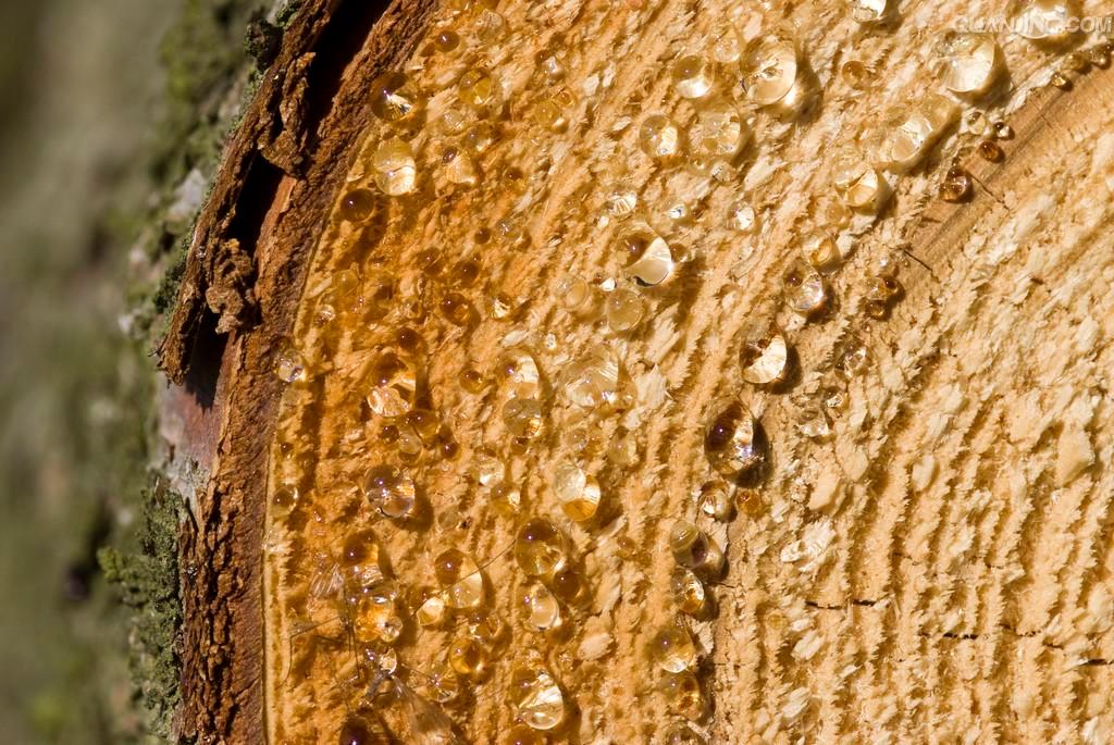 pvcpppe等材料性能的区别,pvc发泡板密度和硬度的关系