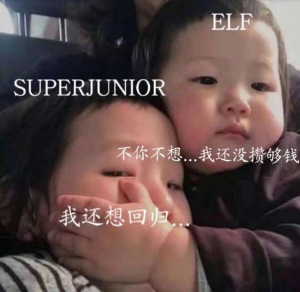 superjunior新曲mv,superjunior和elf哪个好看