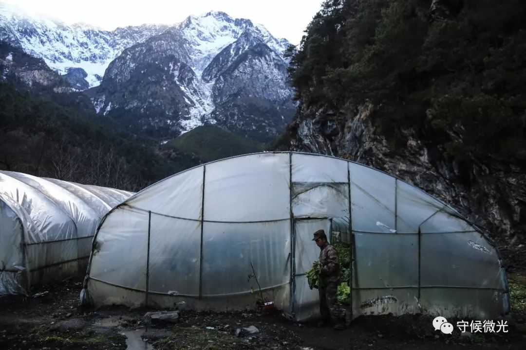 品图：大国末梢的站立者