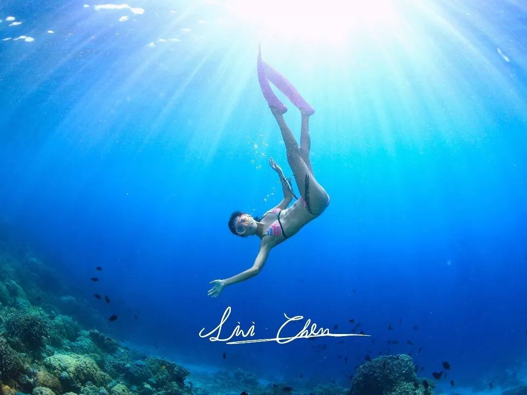 印尼美娜多潜水,印尼美娜多潜水考证