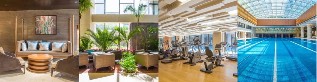 永远的林肯公园,永远的传奇林肯公园