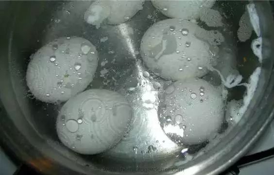 鸡蛋壳别扔掉,鸡蛋壳不要扔了太可惜了用来种菜