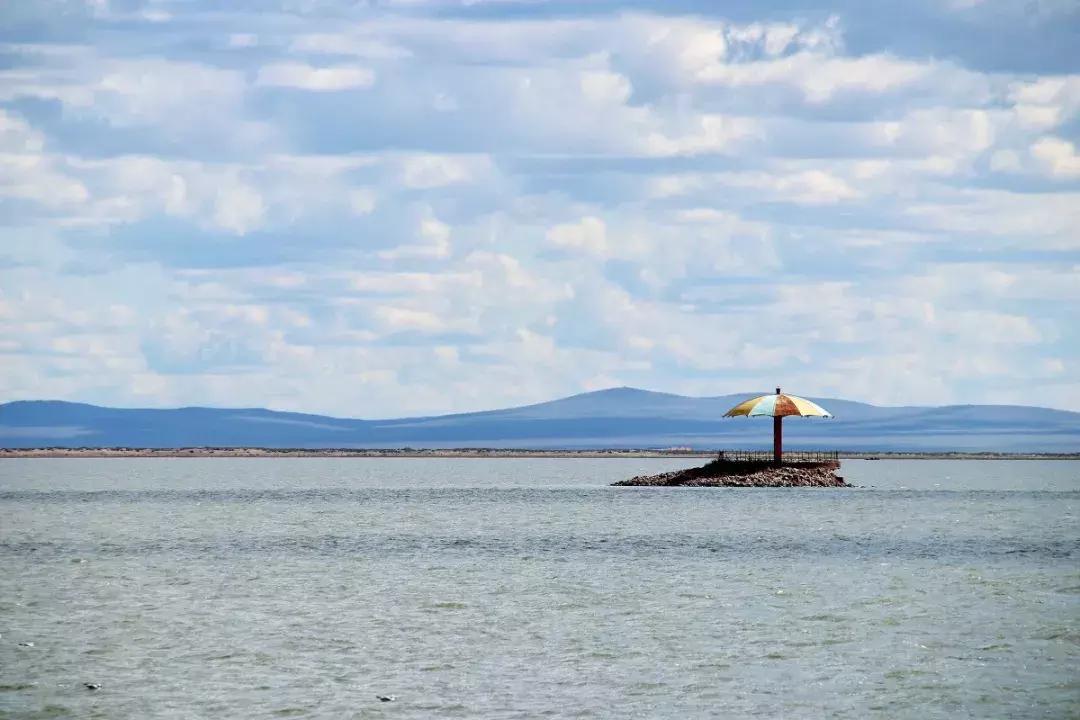 专列开向正北方，健康老人相聚呼伦贝尔草原，河南多地均可上下客