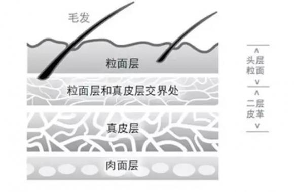 nappa都是人造皮吗,nappa真皮alcantara