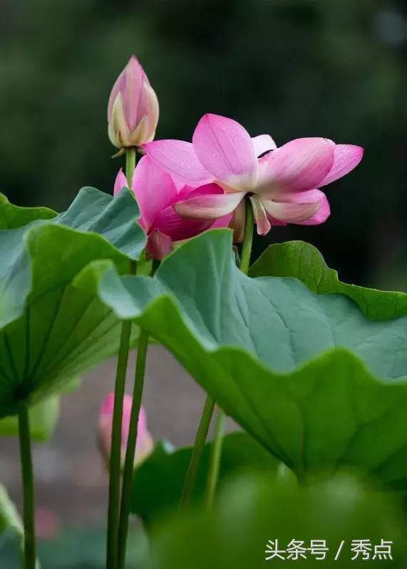 铜川清凉玩水的地方,铜川夏日美景