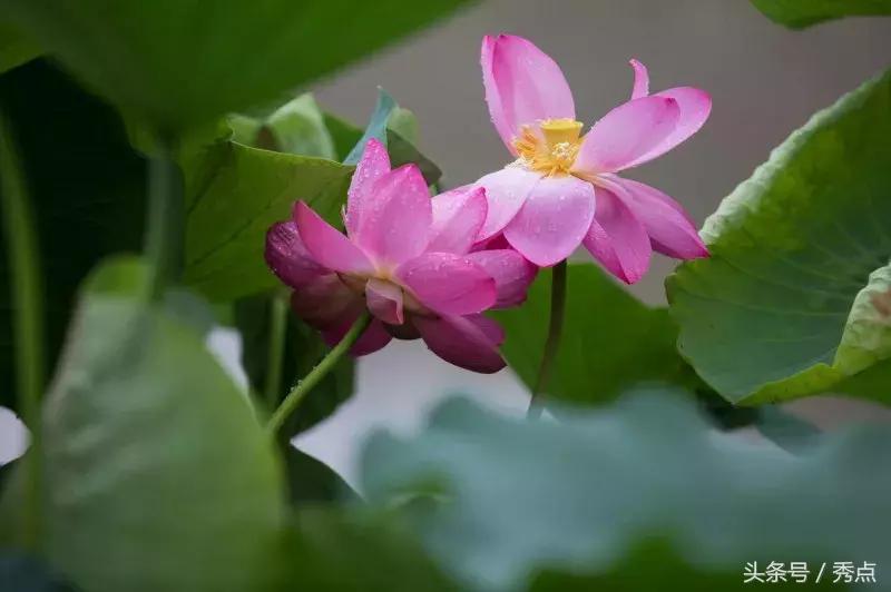 铜川清凉玩水的地方,铜川夏日美景