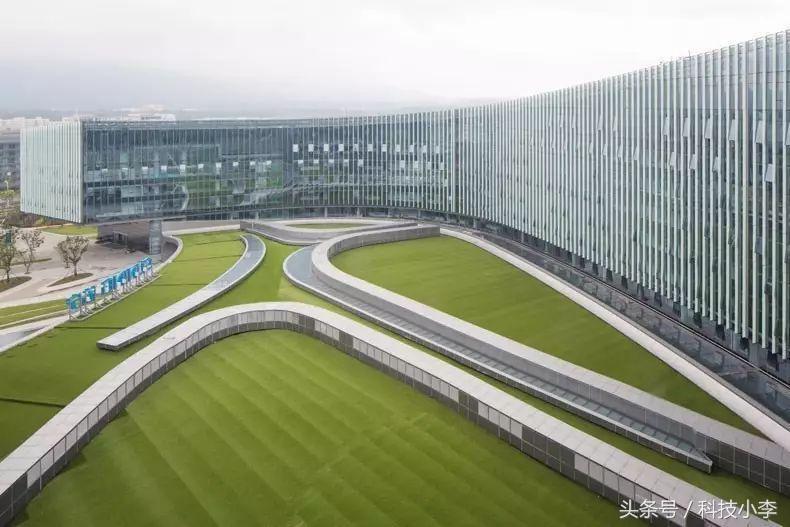 看了阿里的干就完了感想,苏宁与阿里巴巴的区别