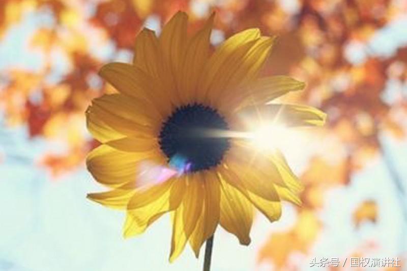 中考260宅在家玩手机家长心急如焚，专家无计可施时出现一丝曙光