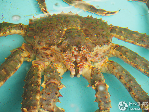 北海道札幌的散步之旅,日本北海道小樽旅游攻略