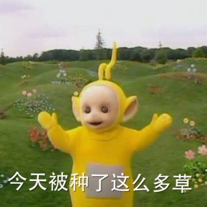 12星座扎什么头发最好看,12星座怎么编头发最好看