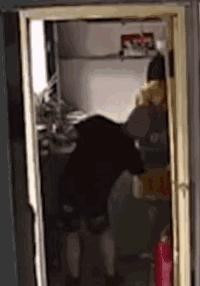 注意！这群人靠*拍偷**女生裙底月入过万！