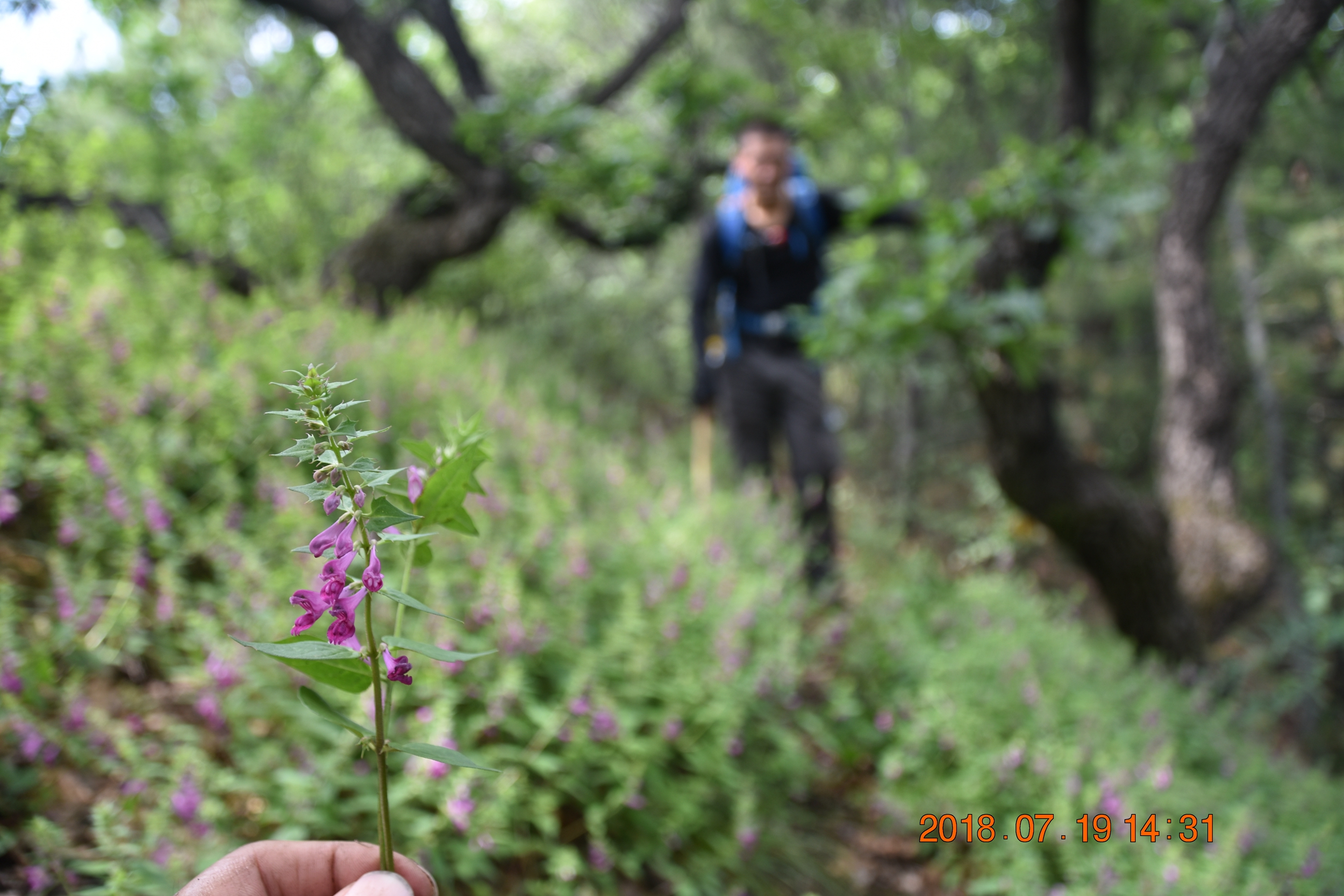 中国登山协会户外指导员山西培训,中登协领队证培训费用