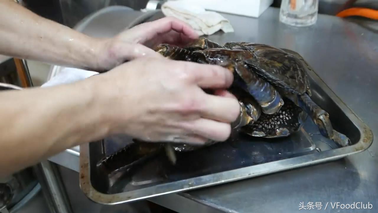 日本超级大的椰子蟹,日本冲绳海鲜鲨鱼刺身