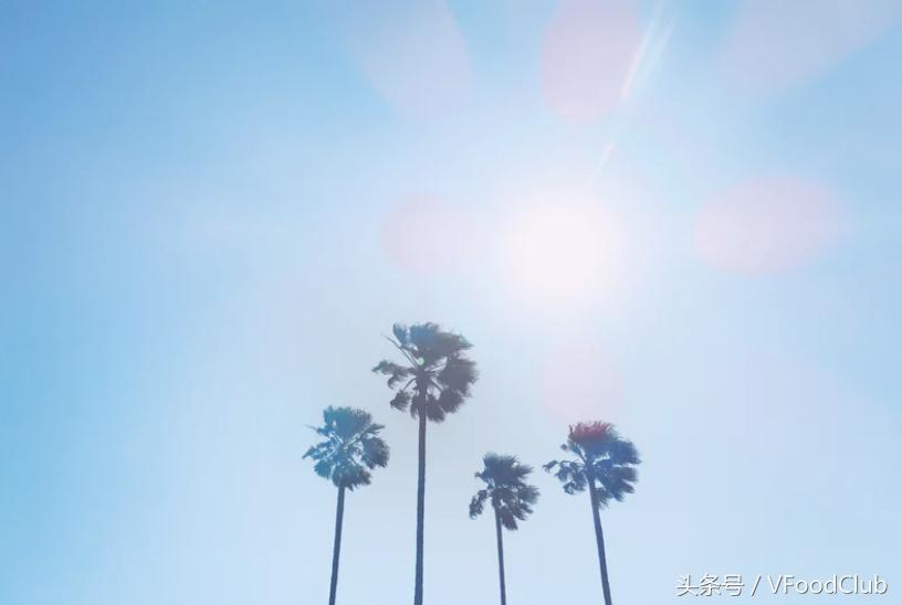 日本超级大的椰子蟹,日本冲绳海鲜鲨鱼刺身