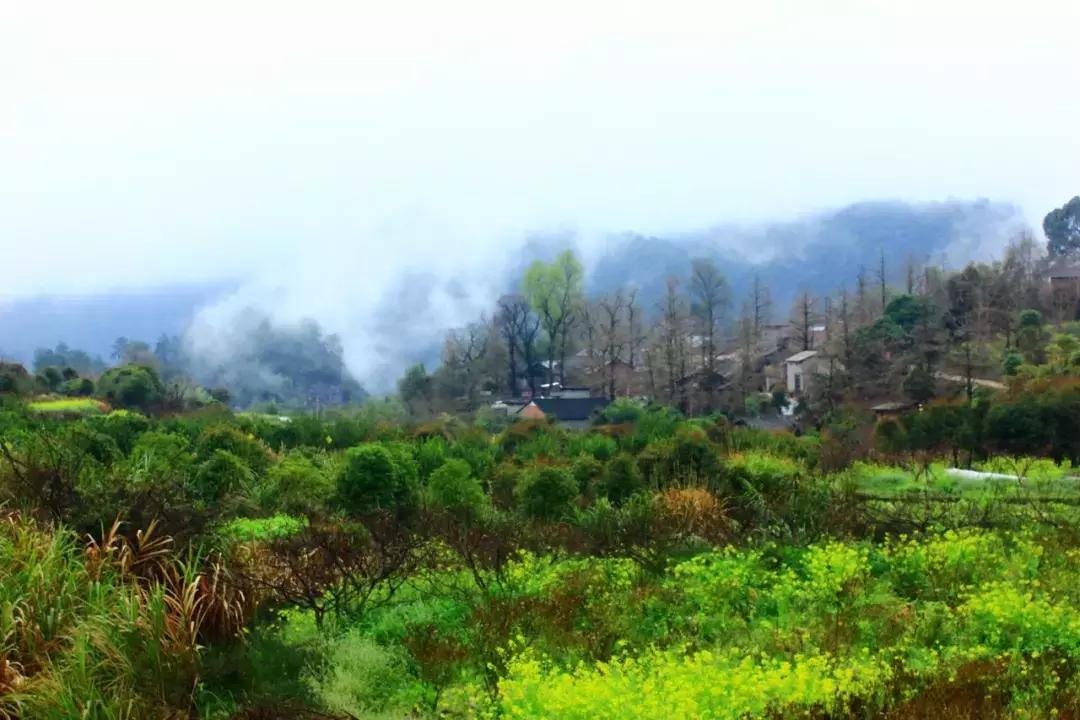 广西夏天避暑的地方,广西附近夏天清凉游玩攻略