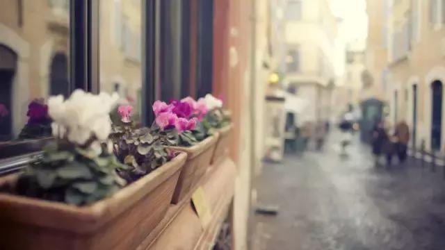 themass歌曲弥撒,震撼的背景音乐themass