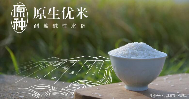 袁隆平捐200吨大米相当于多少钱,袁隆平的大米的推广