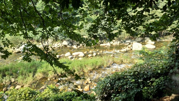 高冠瀑布风景,高冠瀑布游记