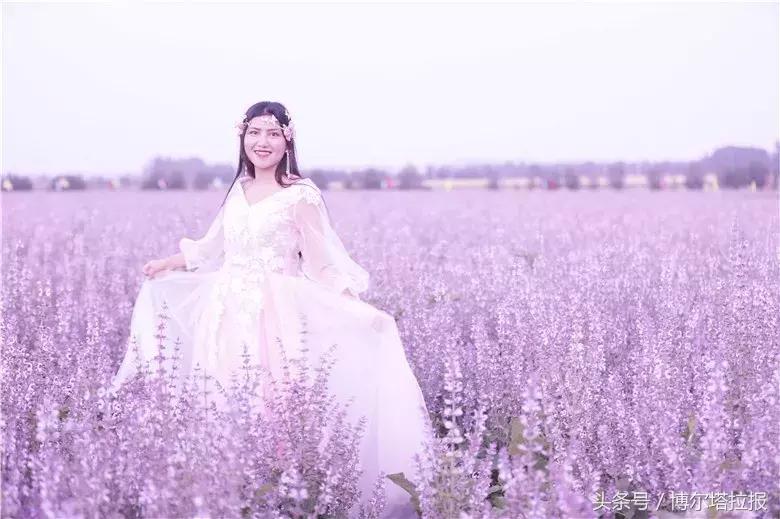 投票啦！快来支持你喜欢的紫苏仙子吧！