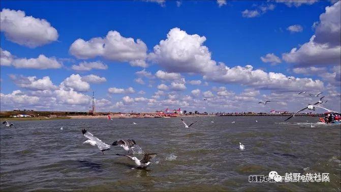 无法忘记的第一次草原之旅,一生必去一次的草原