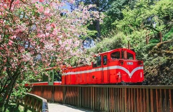 做过这30件事才叫爱旅行的人,做过十件事才算是真爱