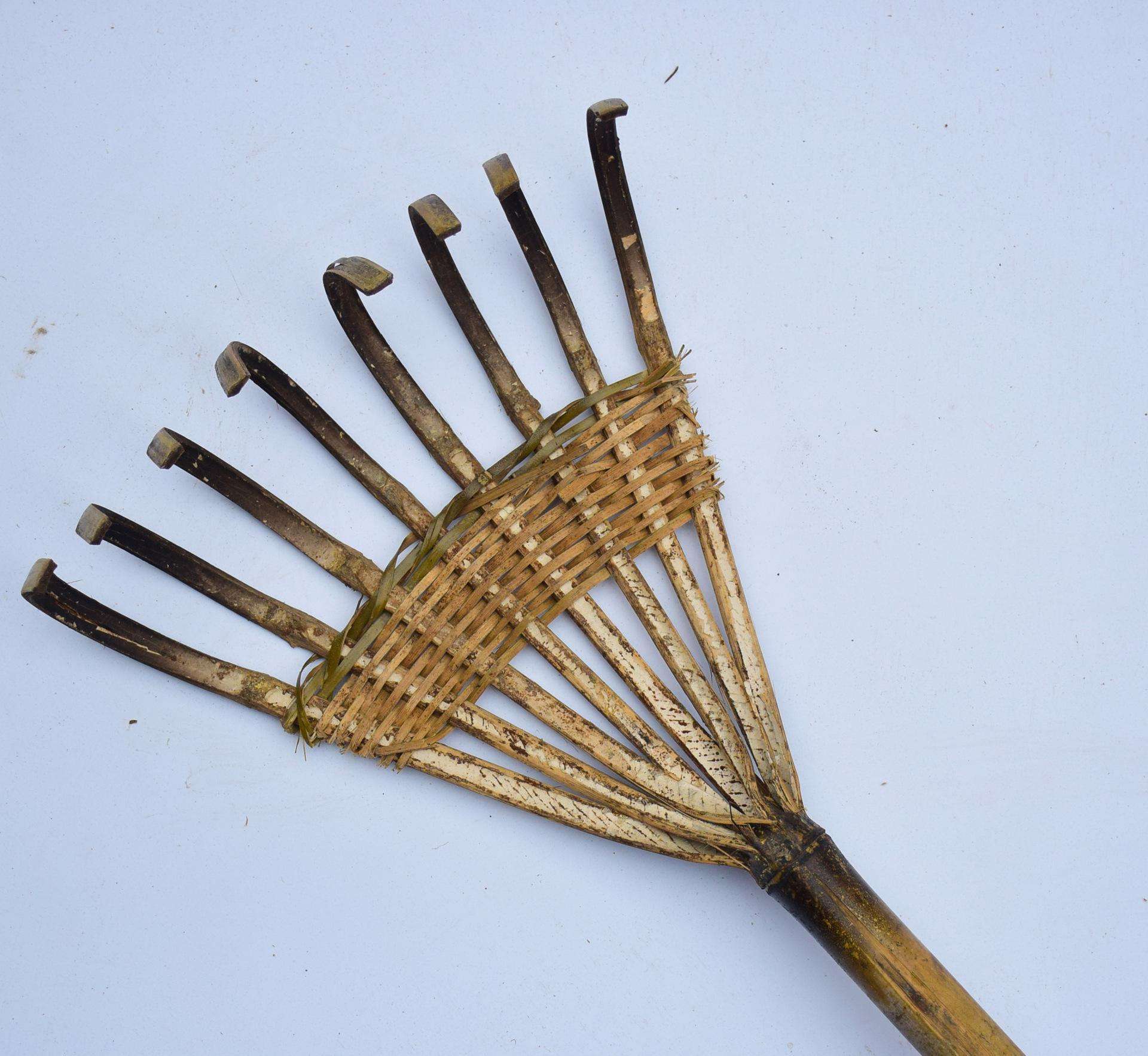 让你满载而归的赶海技巧,赶海攻略100条