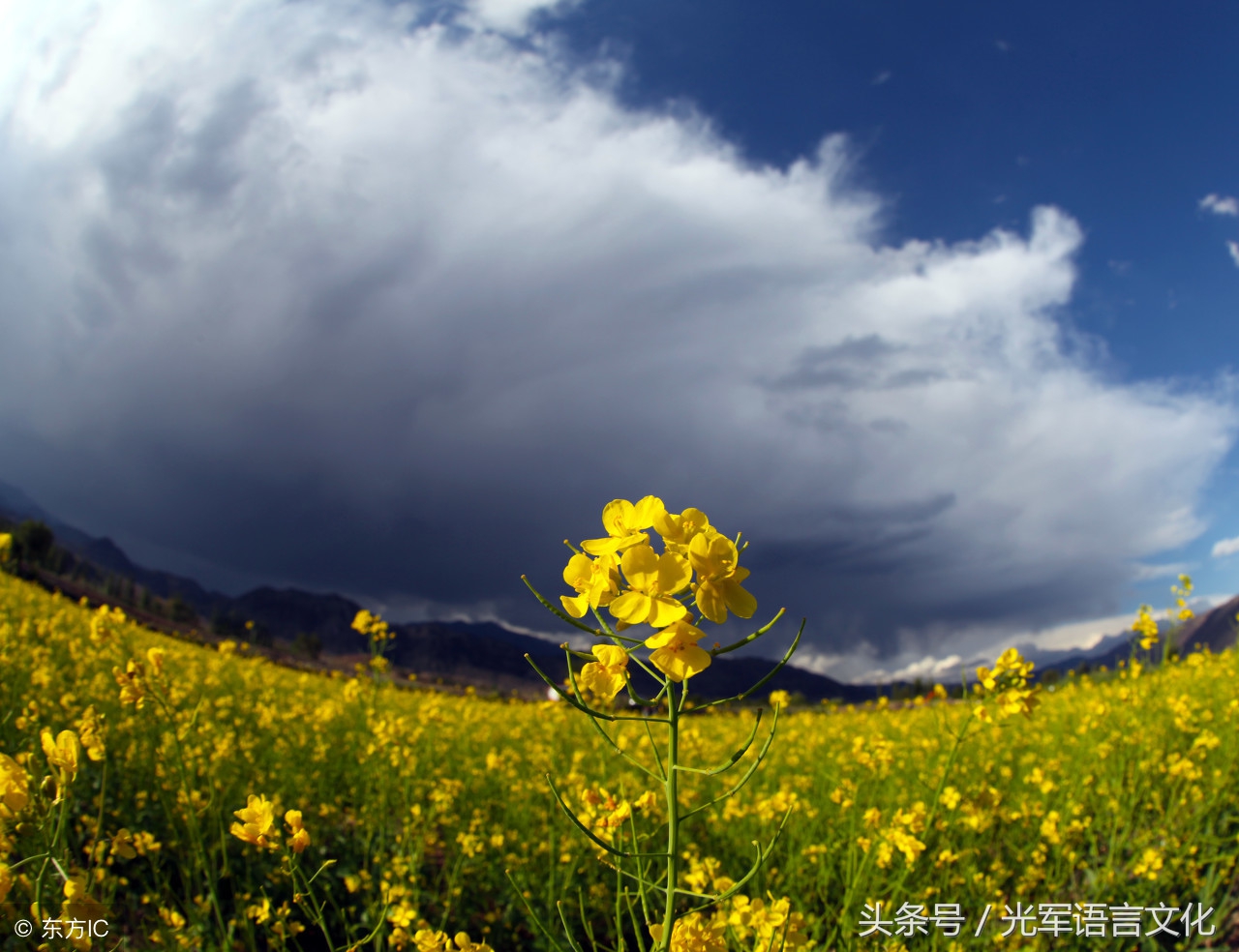 专题：与“云cloud”有关的英语短语和习语飘过来了，快看吧