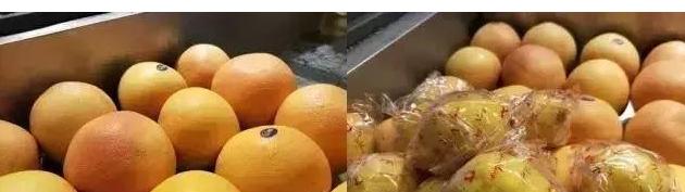 清蒸咕噜鱼,家常咕噜鱼的做法大全