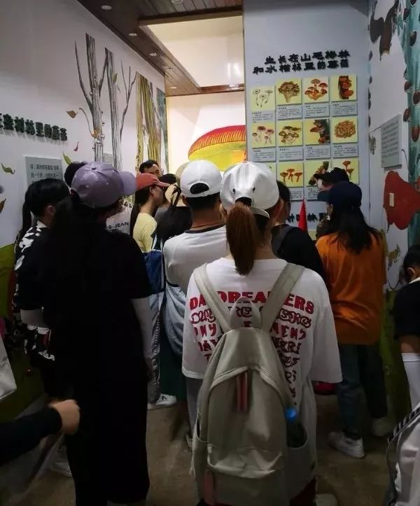 福建高校青年红色筑梦之队,青年红色筑梦之旅南昌大学