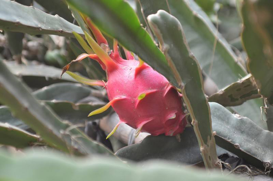 天台漂流攻略,天台漂流