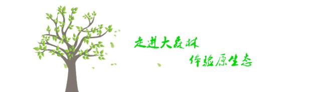 又双叒叕来搞事，解锁“网红”打卡新姿势，老乐山网红走廊等你来