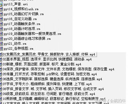 Office2003/2007/2010excelwordppt/办公软件视频教程全套