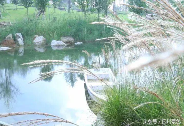 小众又免费！成都地铁直达的天然氧吧！清凉洗肺又解暑！